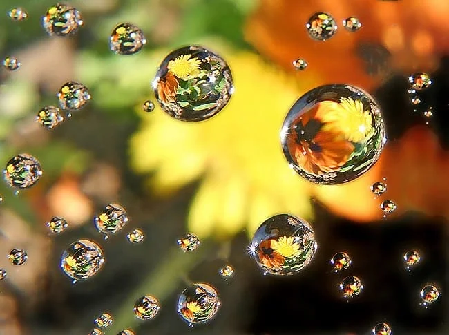 How To Implement Baseline Machine Learning Algorithms From Scratch With Python