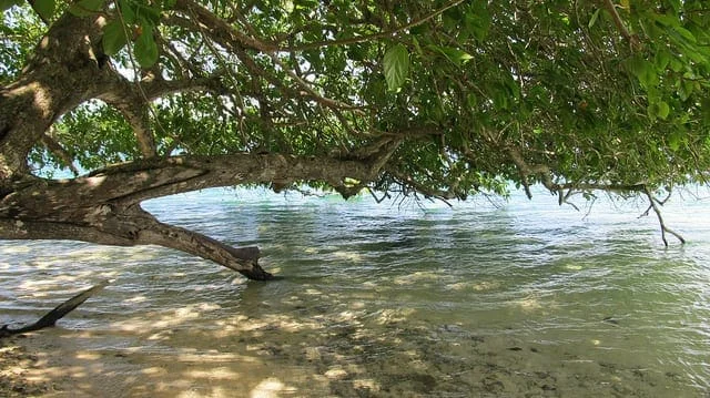 How to Implement Resampling Methods From Scratch In Python