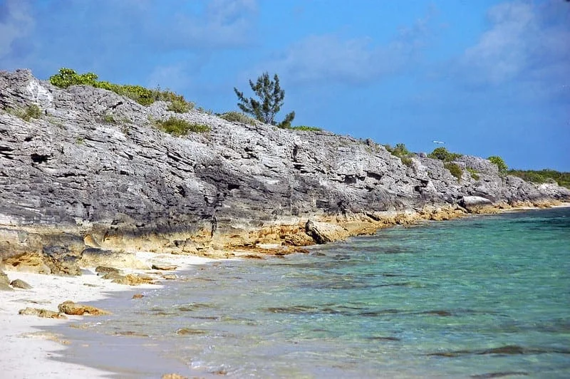 Hyperparameter Optimization With Random Search and Grid Search